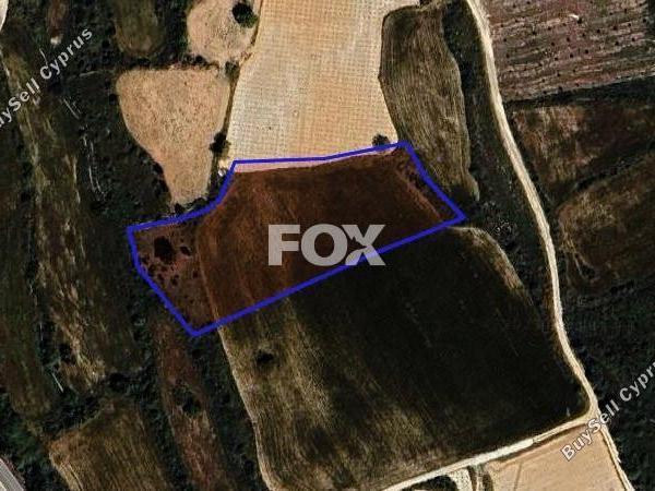 land for sale kathikas paphos 1301315 image 5588911