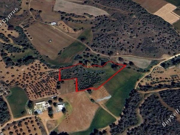 land for sale kornos larnaca 1689315 image 5711127