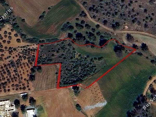 land for sale kornos larnaca 1689315 image 5711128
