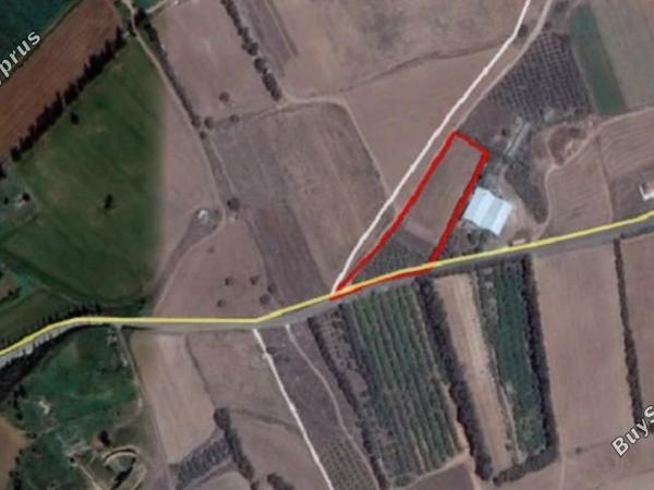 land for sale kouklia pafou paphos 8395315 image 14818343