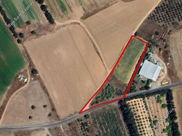 land for sale kouklia pafou paphos 8395315 image 14818345
