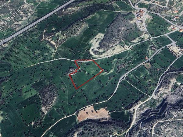 land for sale psematismenos larnaca 7867315 image 13133769
