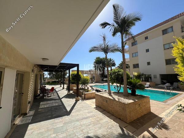 1 bedroom apartment for rent geroskipou paphos 8693415 image 16181064