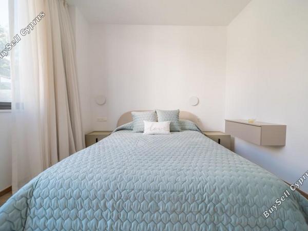 3 bedroom detached house for sale chlorakas paphos 7632415 image 13741900