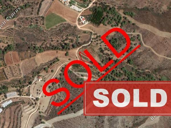 land sold agia marina chrysochous paphos 828415 image 13826748