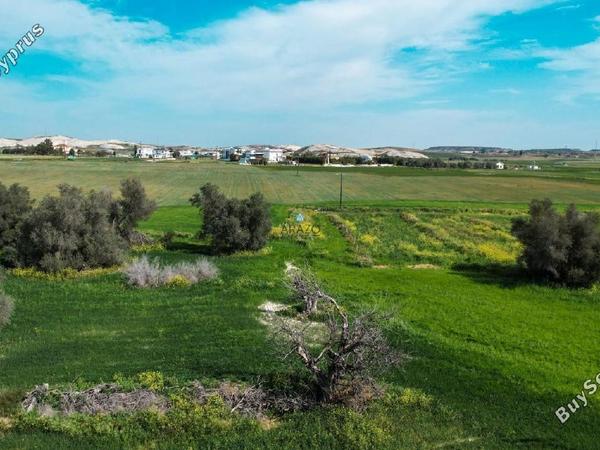 land for sale kalo chorio larnacas larnaca 1717515 image 5675278