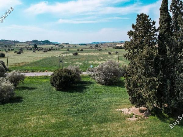 land for sale kalo chorio larnacas larnaca 1717515 image 5675285