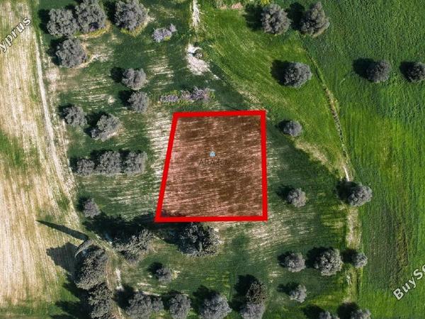 land for sale kalo chorio larnacas larnaca 1717515 image 5675287