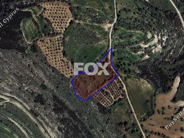 land for sale kritou tera paphos 1835515 image 14830334