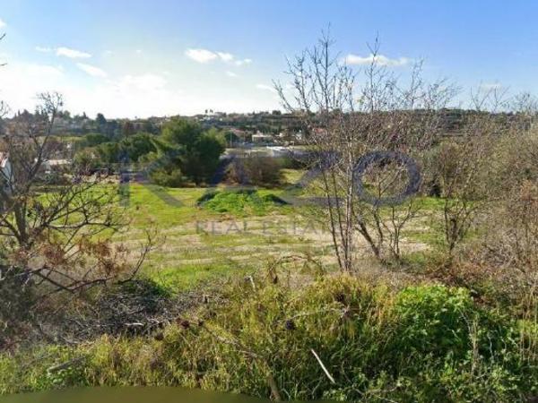 land for sale pachna limassol 7894515 image 11069039