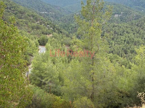land for sale saittas limassol 8994515 image 18156819