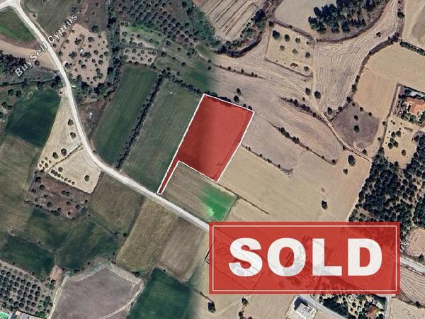 land sold politiko nicosia 1667515 image 4300791