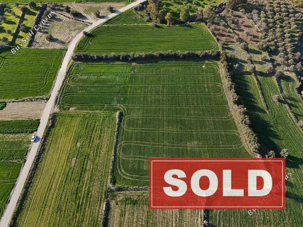 land sold politiko nicosia 1667515 image 4300796
