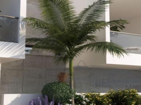 1 bedroom penthouse for sale kato lakatamia nicosia 1786615 image 16247386