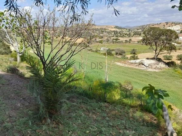 2 bedroom detached house for sale alaminos larnaca 1763615 image 5904375