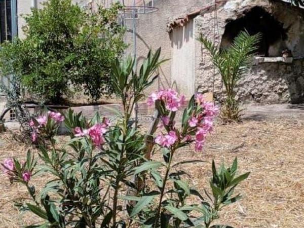 4 bedroom detached house for sale ora larnaca 1417615 image 5647282