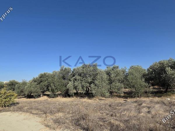 land for sale erimi limassol 1905615 image 14047350