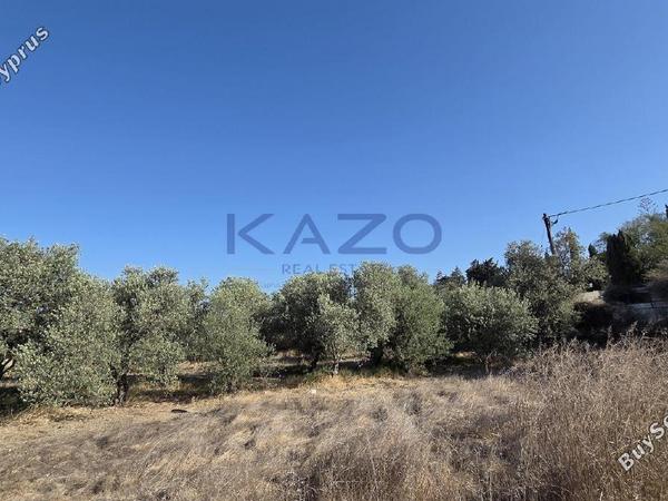land for sale erimi limassol 1905615 image 14047352