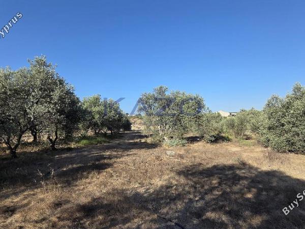 land for sale erimi limassol 1905615 image 14047353