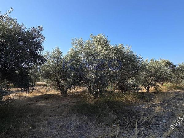 land for sale erimi limassol 1905615 image 14047354