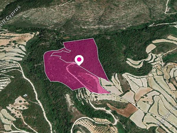 land for sale koili paphos 1057615 image 13635438