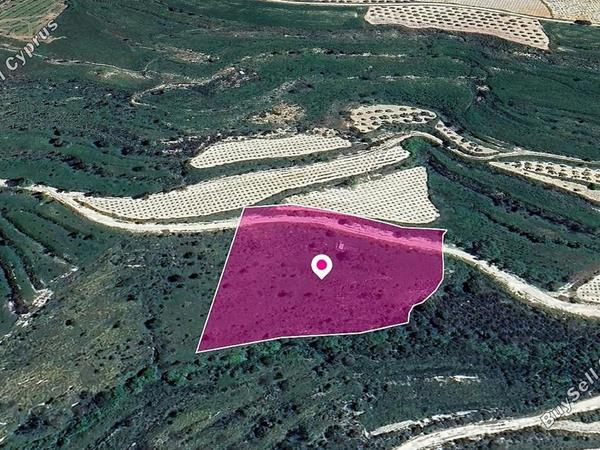 land for sale koili paphos 1183615 image 14889928