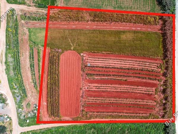 land for sale ormideia larnaca 1311615 image 5638997