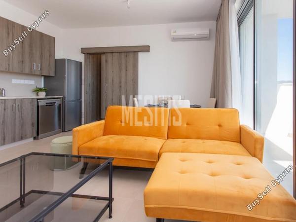 studio apartment for rent kato polemidia limassol 8473615 image 16340300