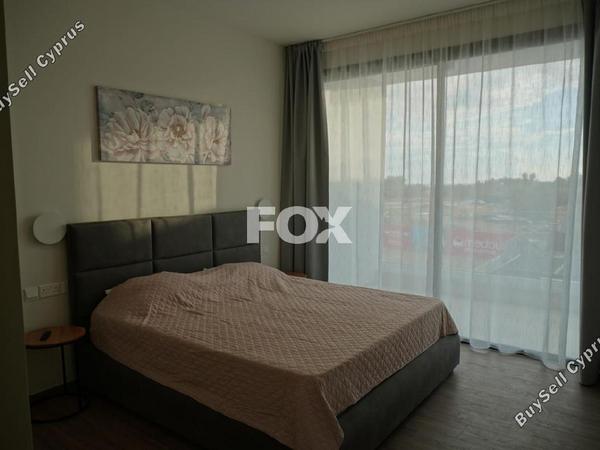 3 bedroom detached house for rent geroskipou paphos 8710715 image 16269015