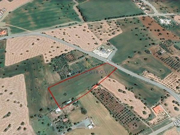 plot for sale mazotos larnaca 1263715 image 5619290