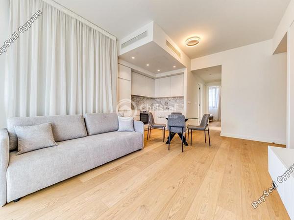 1 bedroom apartment for rent potamos germasogeias limassol 8716815 image 16338946