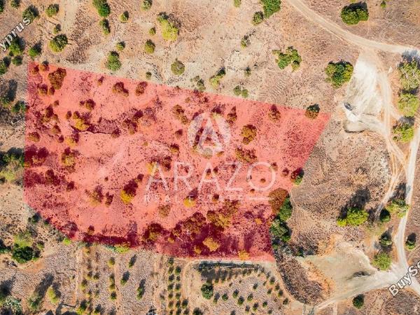 land for sale parekklisia limassol 7842815 image 16652932