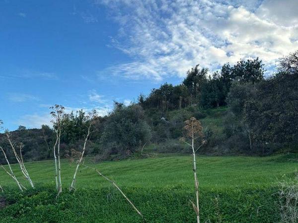 plot for sale vasa kellakiou limassol 1808815 image 6170263