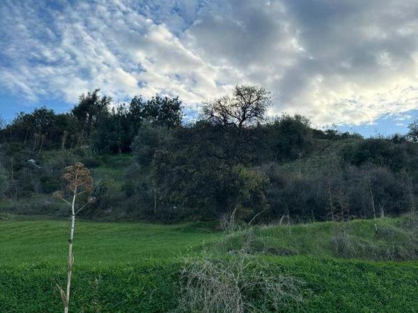 plot for sale vasa kellakiou limassol 1808815 image 6170264