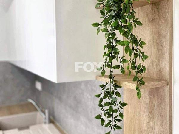 studio office for rent petrou kai pavlou limassol 1522815 image 17072364
