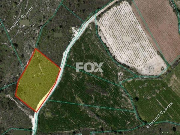 land for sale kathikas paphos 1158915 image 14826871