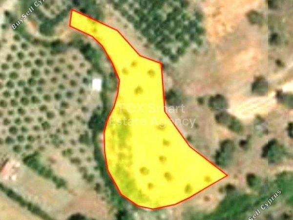 land for sale lythrodontas nicosia 1152915 image 5163741
