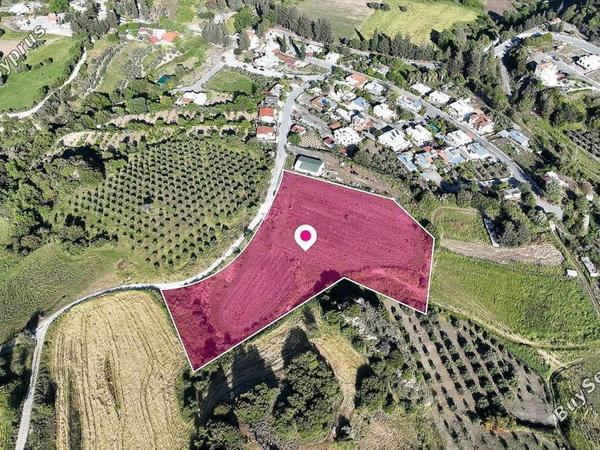 land for sale kannaviou paphos 8469025 image 15890384