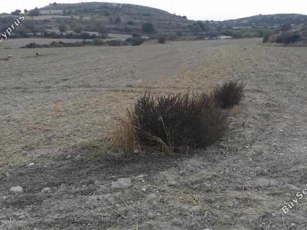 land for sale pera orinis nicosia 1062025 image 16181661