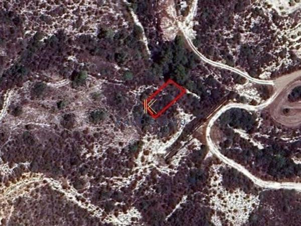 land for sale skarinou larnaca 1616025 image 5705483