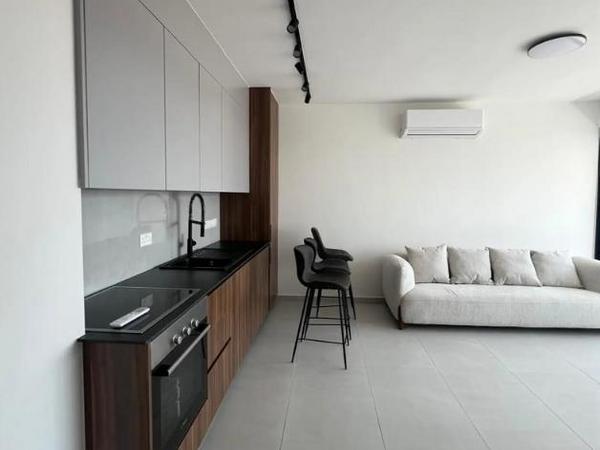 2 bedroom apartment for rent limassol municipality limassol 8333125 image 14621396