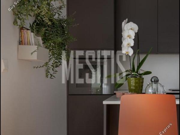 2 bedroom apartment for sale dasoupoli nicosia 8215125 image 13729383