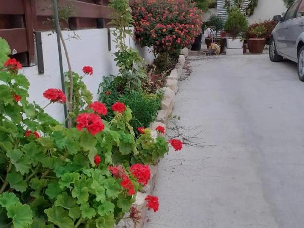 3 bedroom detached house for sale agios athanasios limassol 1846125 image 14497300