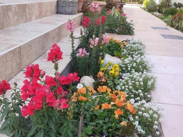 3 bedroom detached house for sale agios athanasios limassol 1846125 image 14497329