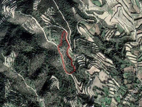 land for sale koili paphos 828125 image 15178937