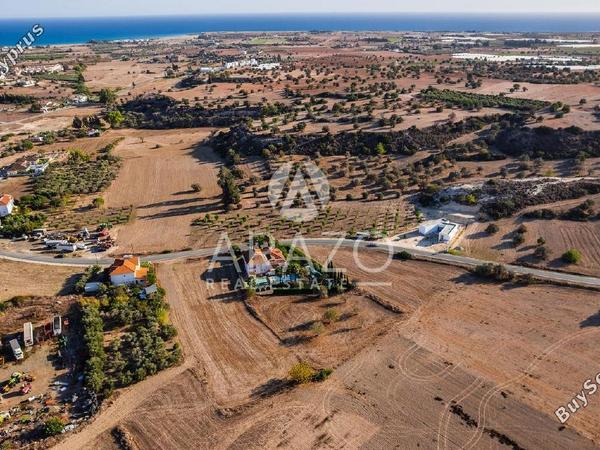 land for sale mazotos larnaca 7771125 image 10392017