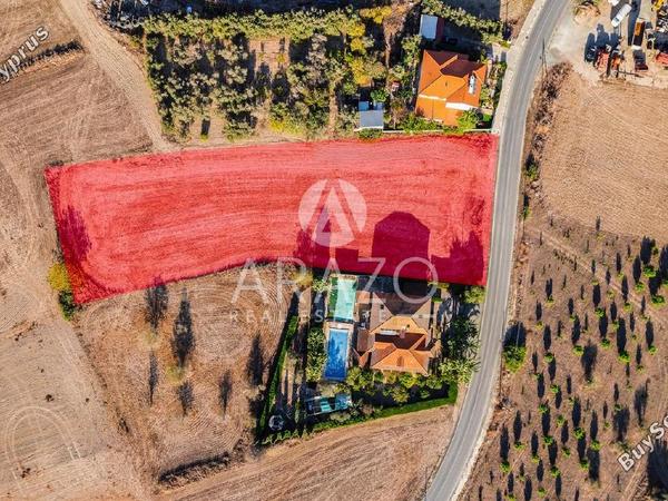 land for sale mazotos larnaca 7771125 image 10392018