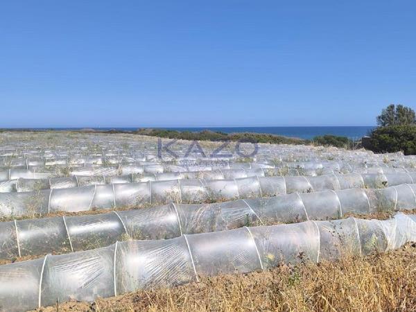 land for sale maroni larnaca 7533225 image 9885877