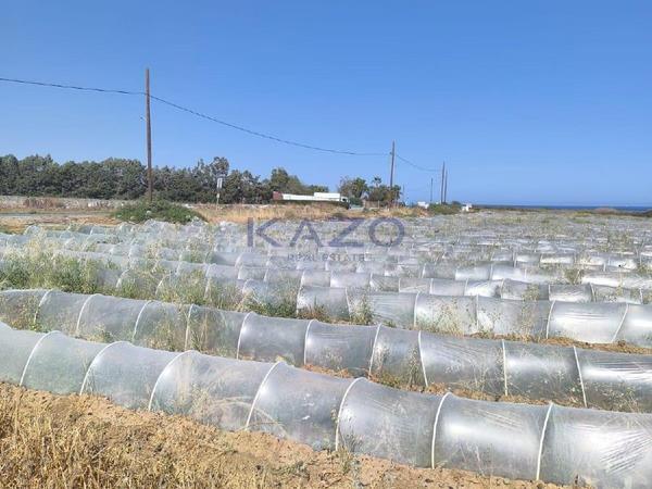 land for sale maroni larnaca 7533225 image 9885880