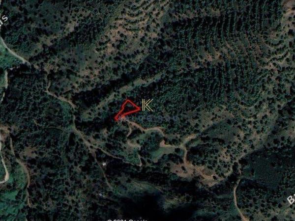 plot for sale kampos nicosia 1195225 image 5576546